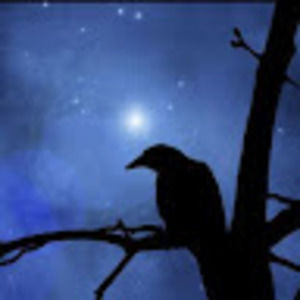 Meet your Posher, Tl